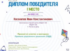 Мы побеждаем в конкурсах по ПДД!