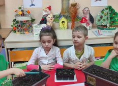 Проект &quot;Эколята-дошколята&quot;