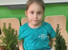 Подготовка к чемпионату BabySkills-2022. Компетенция &quot;Ландшафтный дизайн&quot;