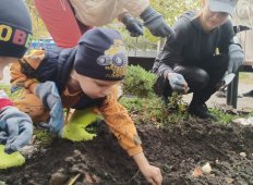 День тюльпанонасаждения