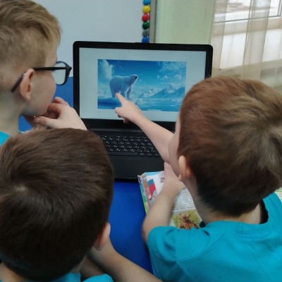 5264803416209299952 121